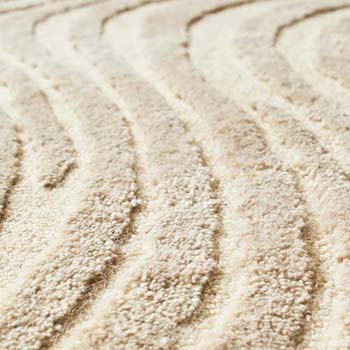 Carpet Cleaning